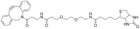 DBCO-NH-PEG2-Biotin structure
