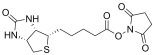 Biotin-NHS Ester structure