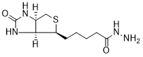 Biotin-Hydrazide structure