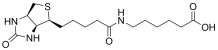 Biotin-LC structure