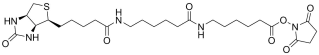 Biotin-LC-LC-NHS Ester structure