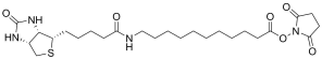 Biotin-SLC-NHS Ester structure