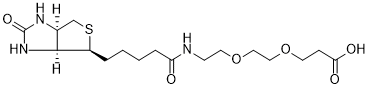 Biotin-PEG2-acid structure