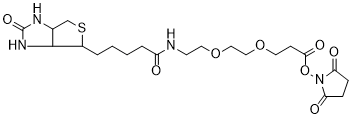 Biotin-PEG2-NHS Ester structure