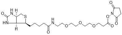 Biotin-PEG3-NHS Ester structure