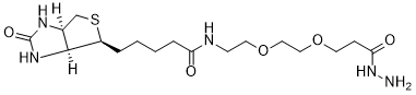 Biotin-PEG2-Hydrazide structure