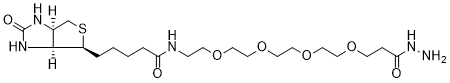 Biotin-PEG4-Hydrazide structure